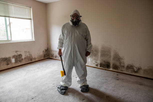 Burns Flat, OK Mold Removal Company